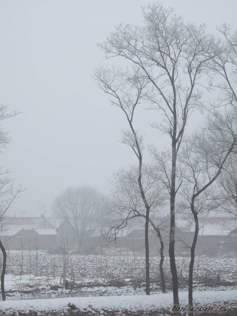 Photo 493634
