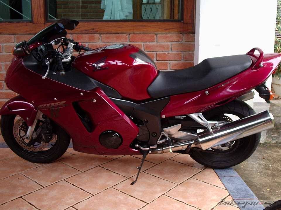 Photo 493686