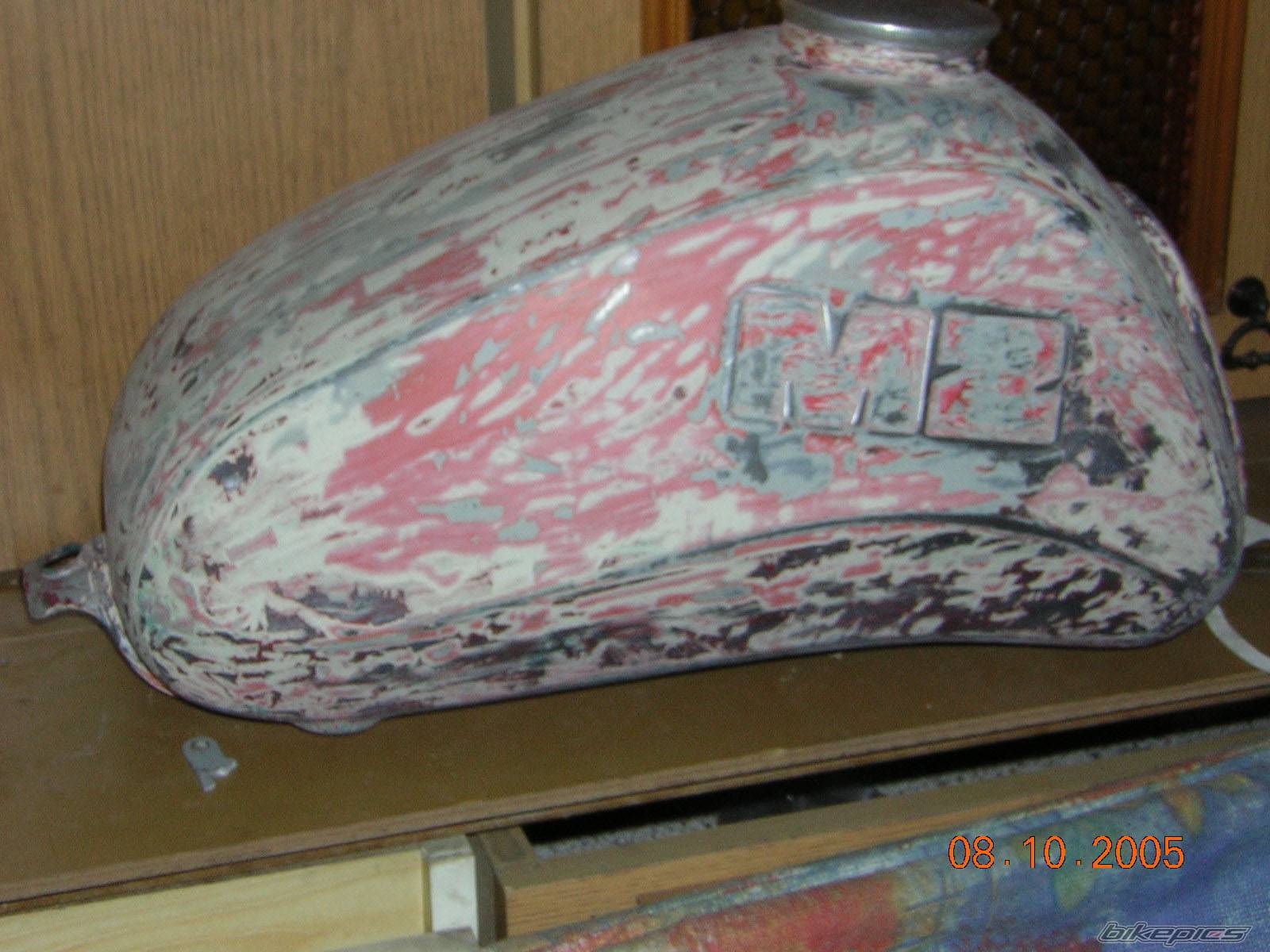 Photo 493782