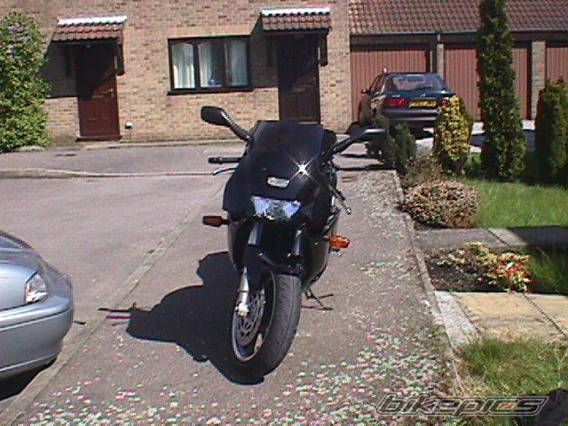 Photo 49390