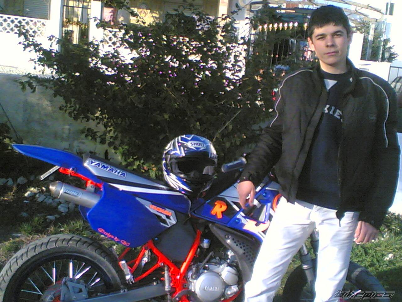 Photo 493937