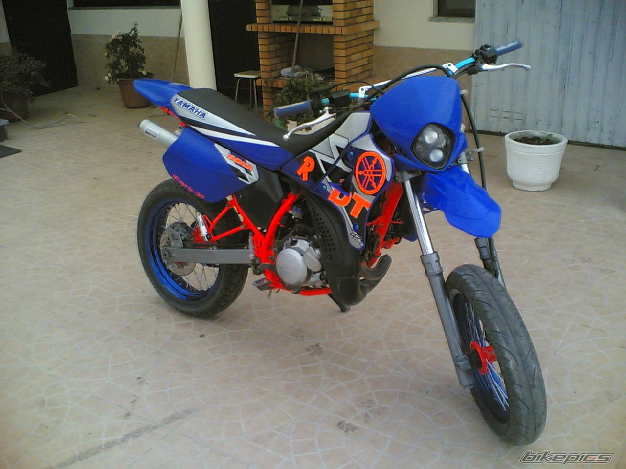 Photo 493945