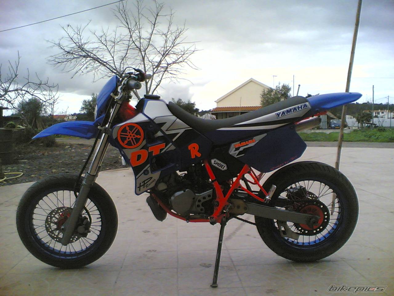 Photo 493948