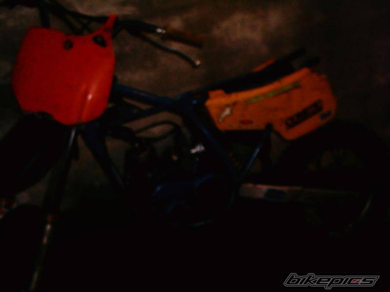 Bike Photo 493960