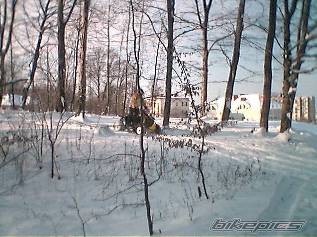 Photo 493969