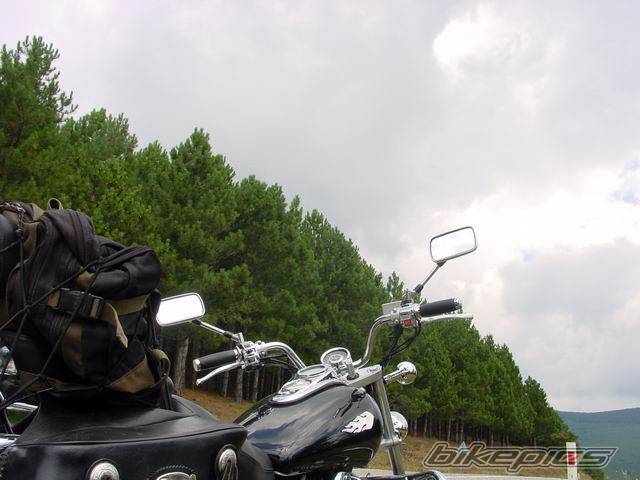 Photo 494038