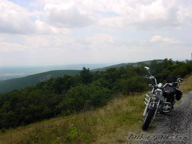 Photo 494039