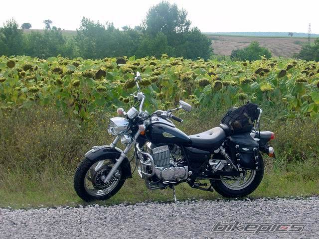 Photo 494043