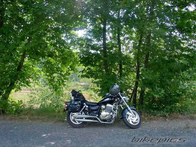 Photo 494048