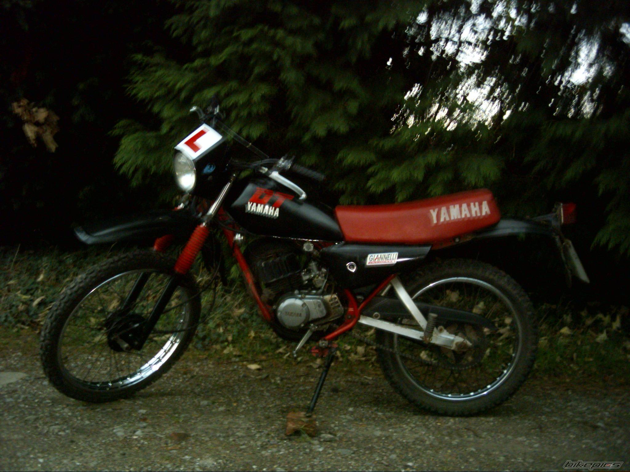 Photo 494088