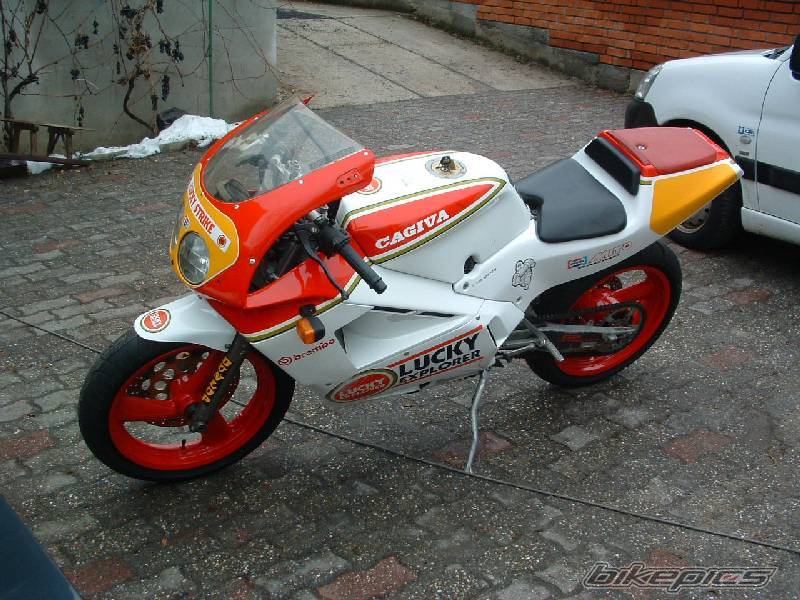 Photo 494243