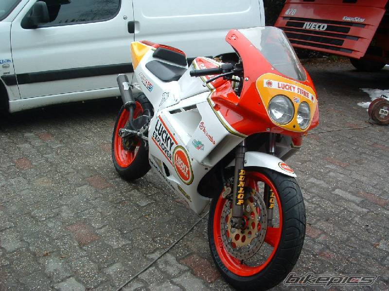 Photo 494244