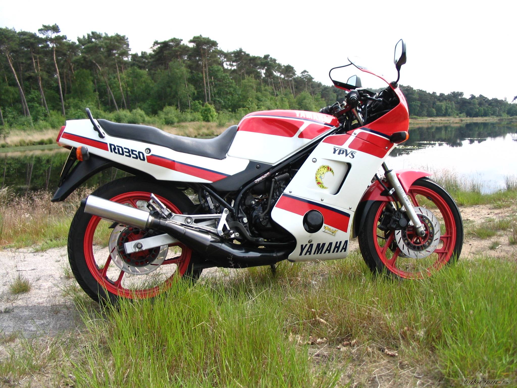 Bike Photo 494269
