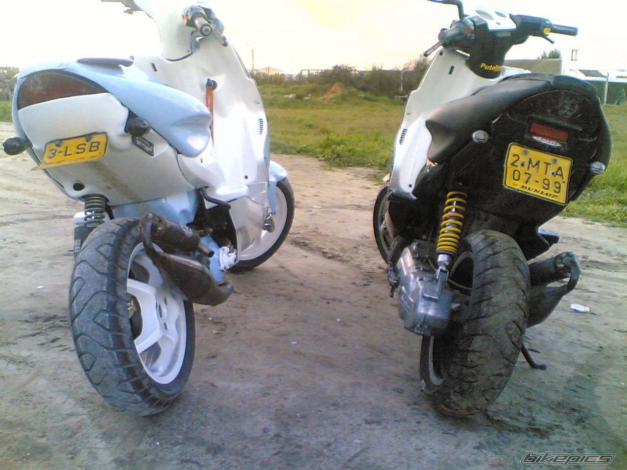 Photo 494353