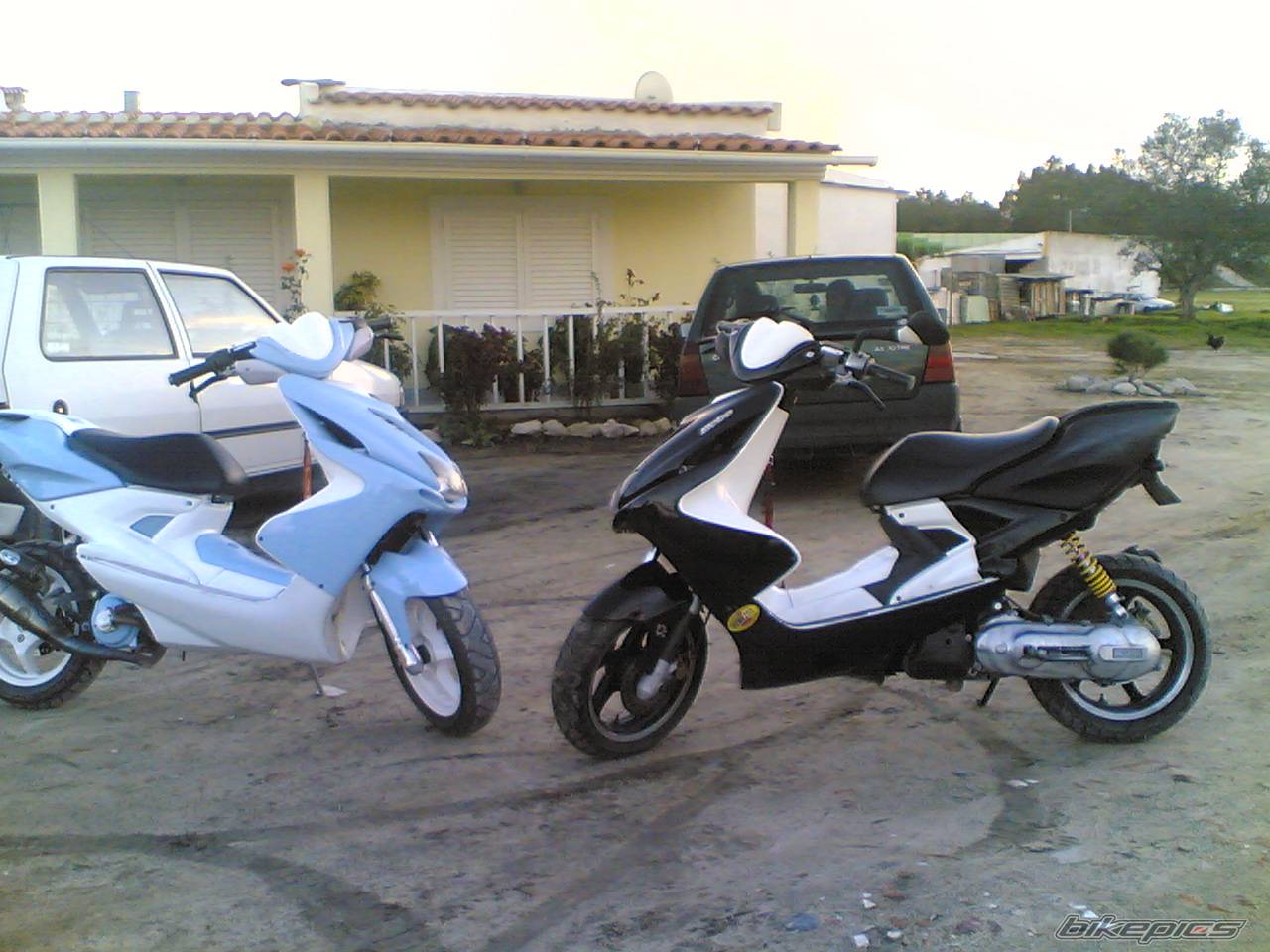 Photo 494357