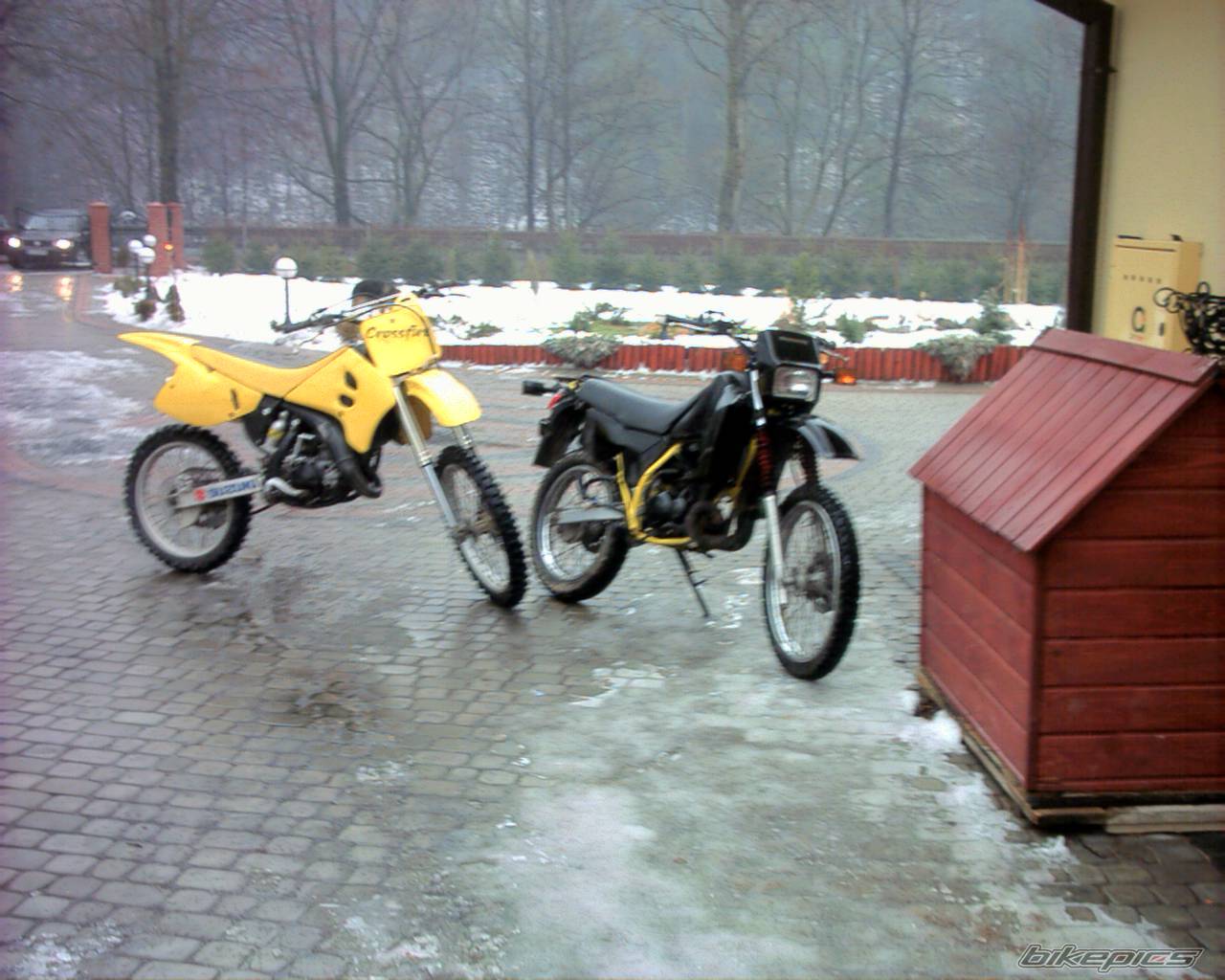 Bike Photo 494521