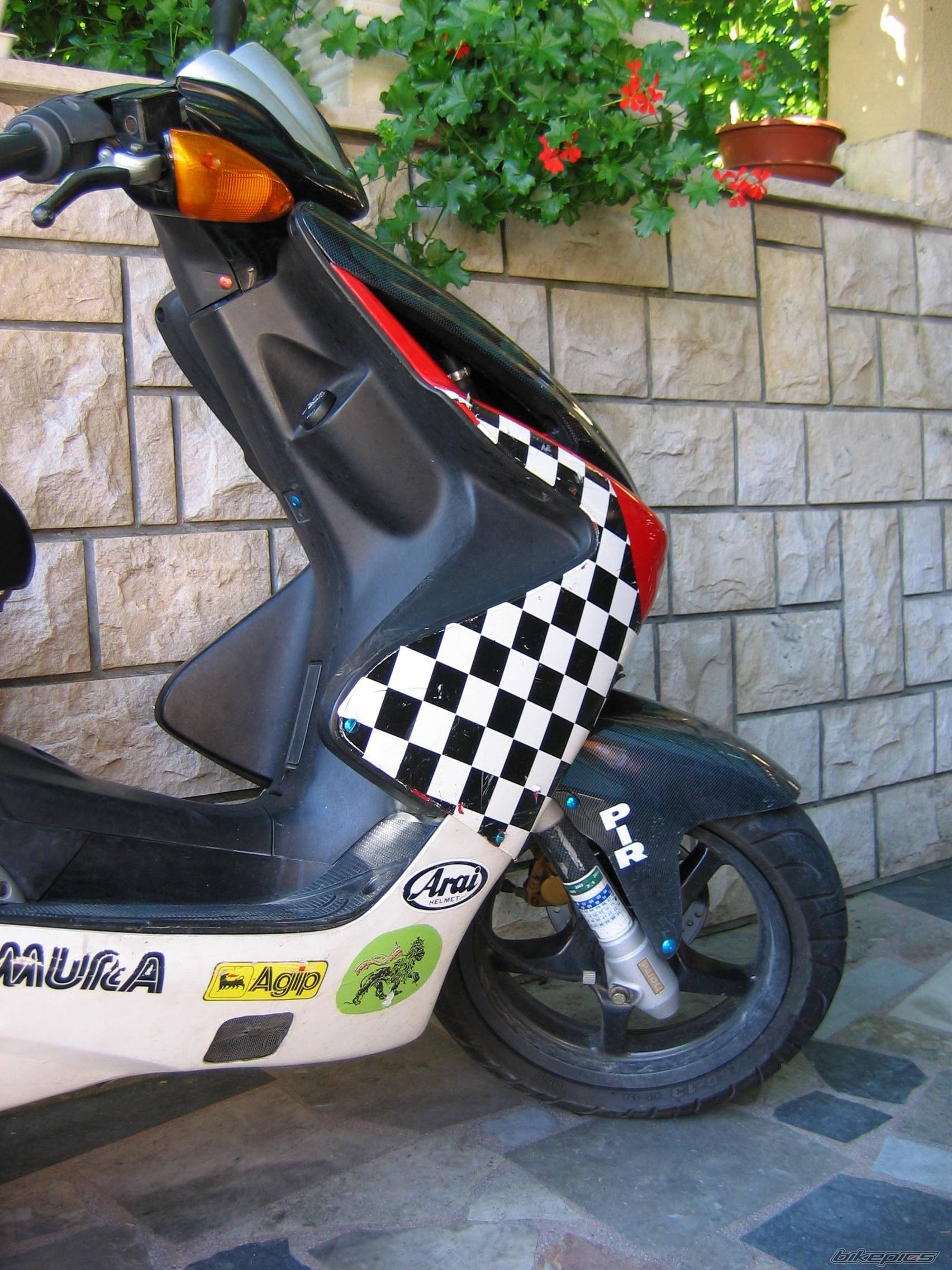 Photo 494625