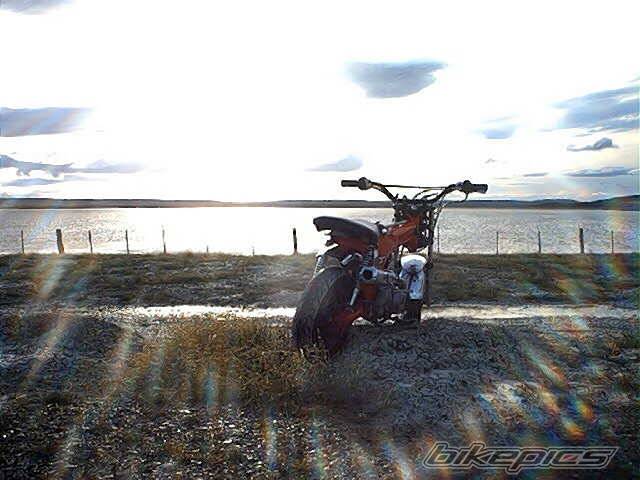 Photo 49473