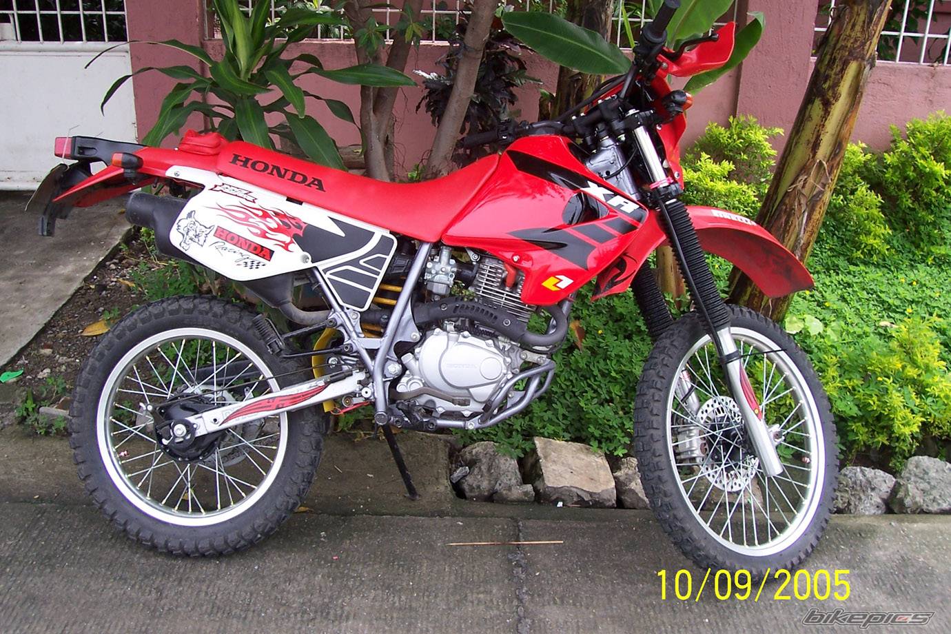 Photo 494732