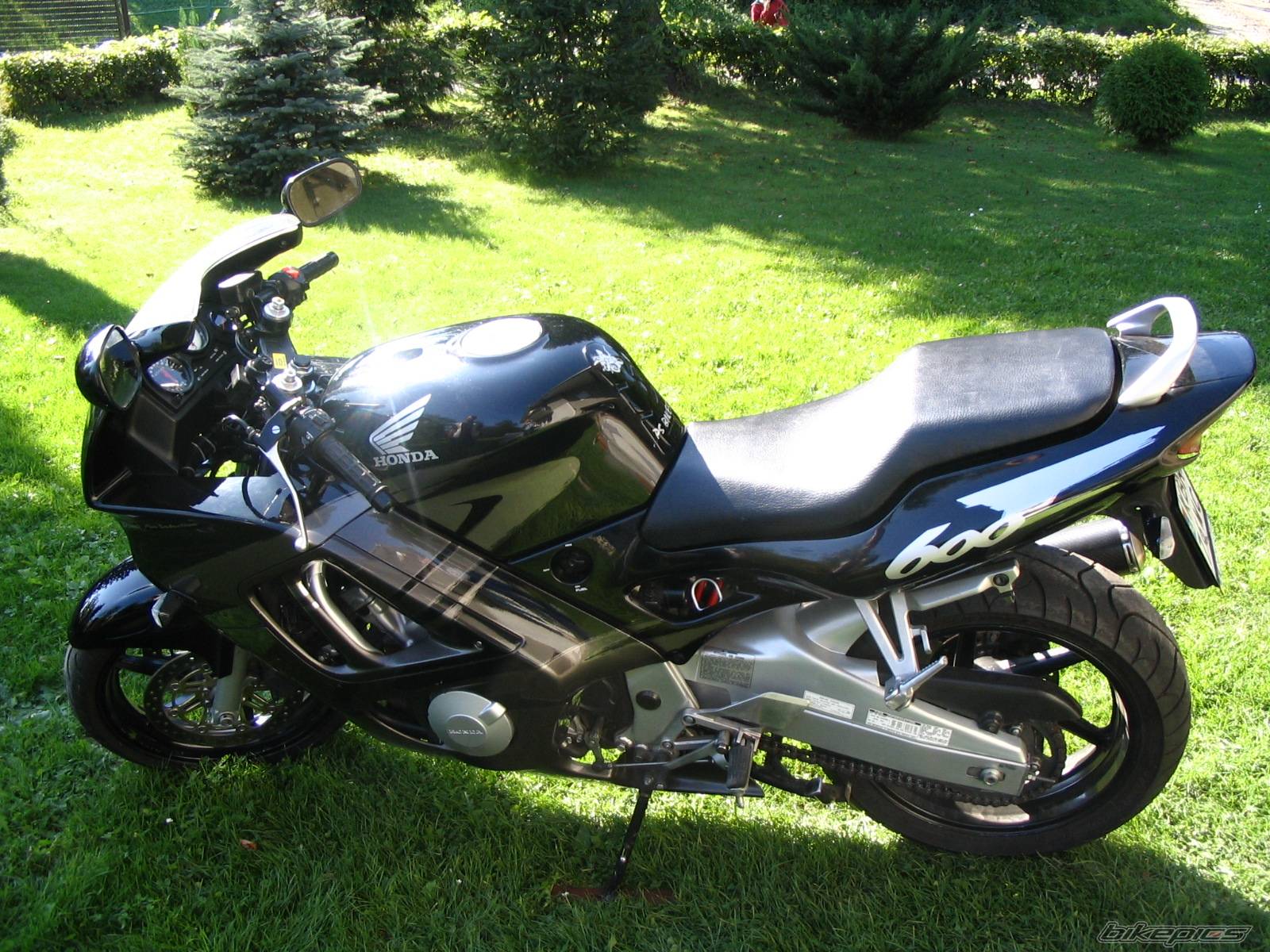 Photo 494765