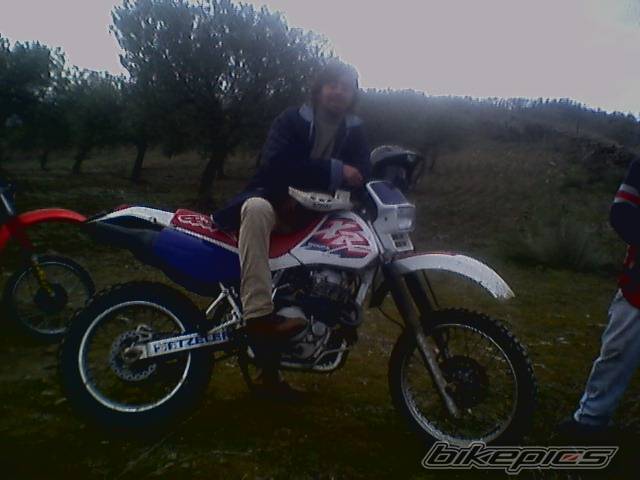 Photo 494847