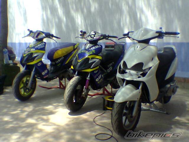 Photo 494887