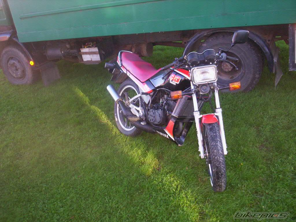 Photo 494978