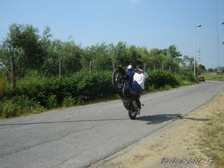 Photo 494995