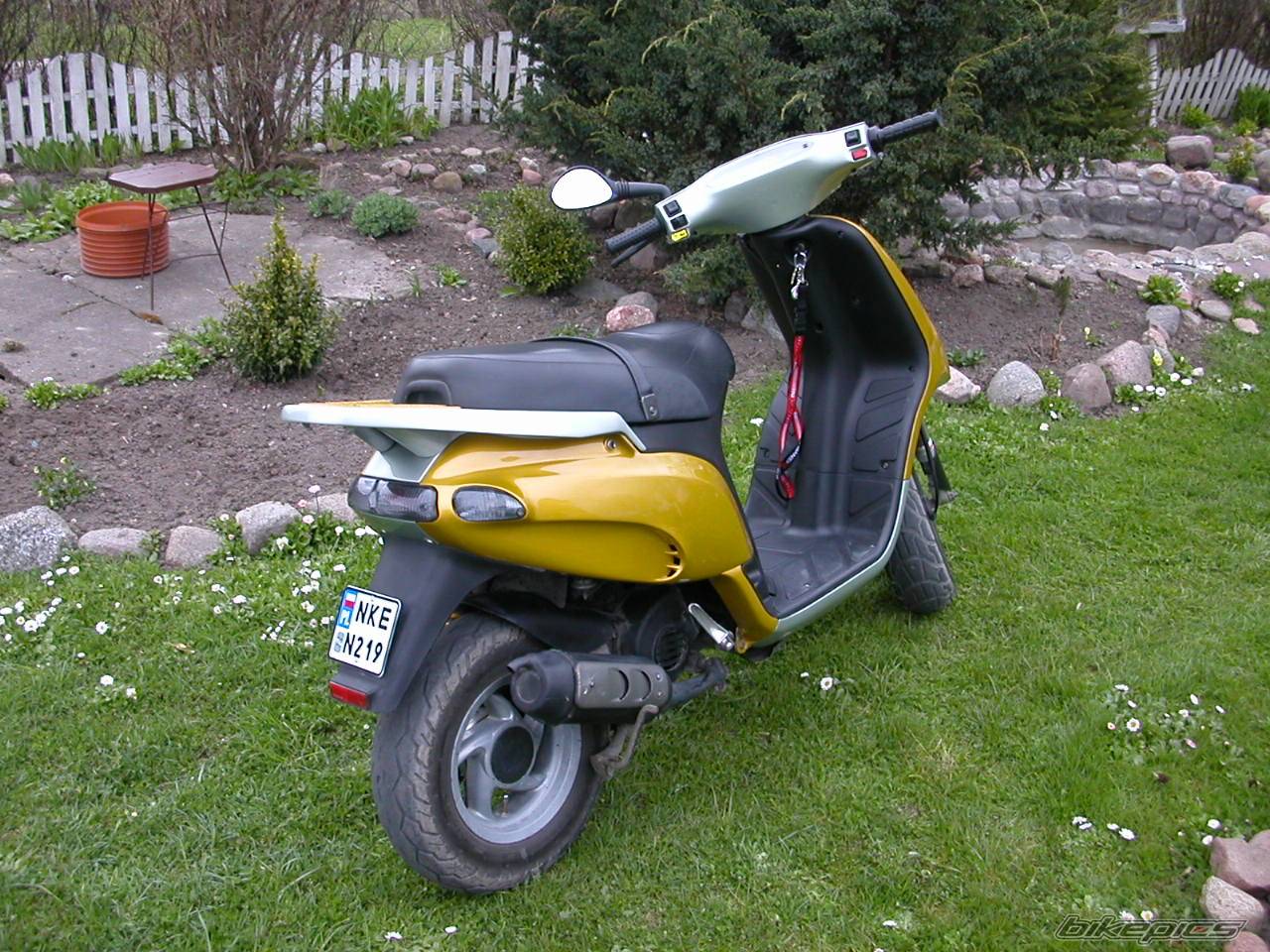Photo 495107