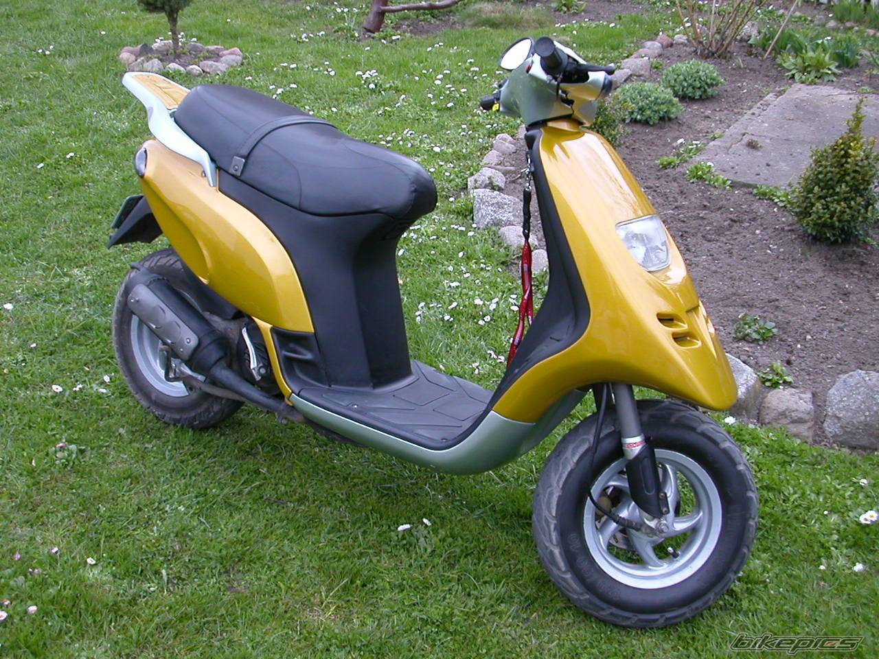 Photo 495111