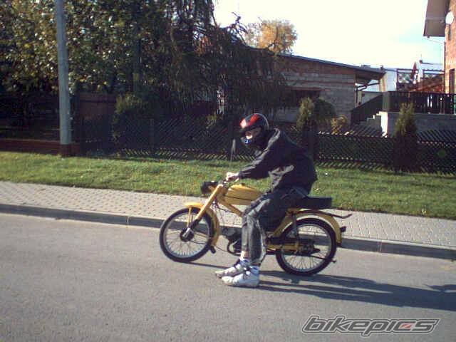 Photo 495237