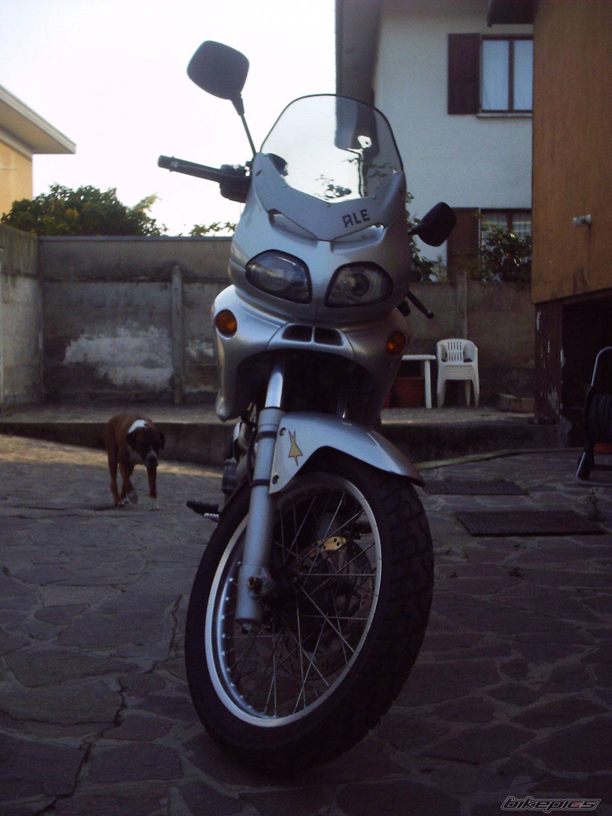 Photo 495251