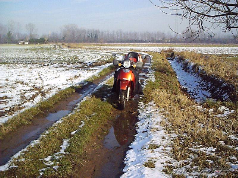 Bike Photo 495264