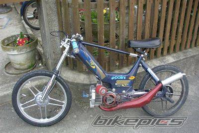 Photo 495293
