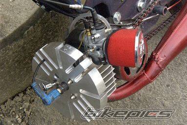 Photo 495295