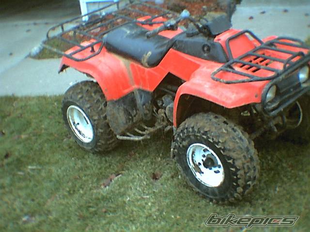 Photo 495298