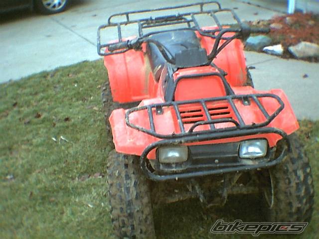 Photo 495299