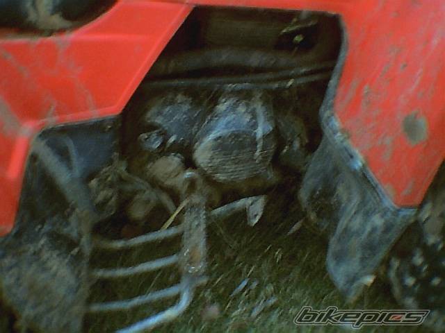 Photo 495321
