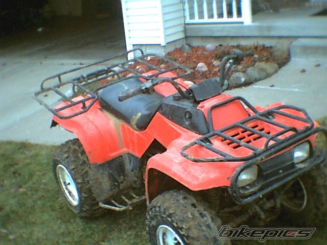 Photo 495322
