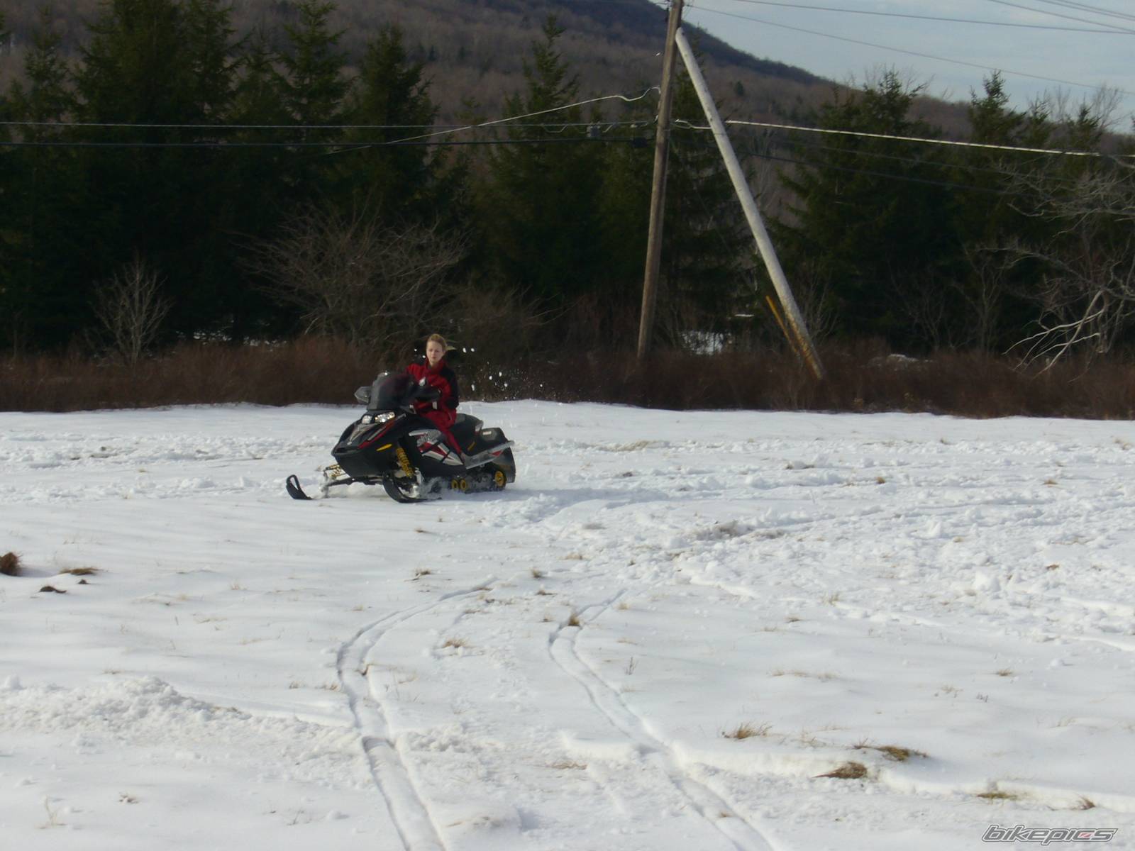 Photo 495375