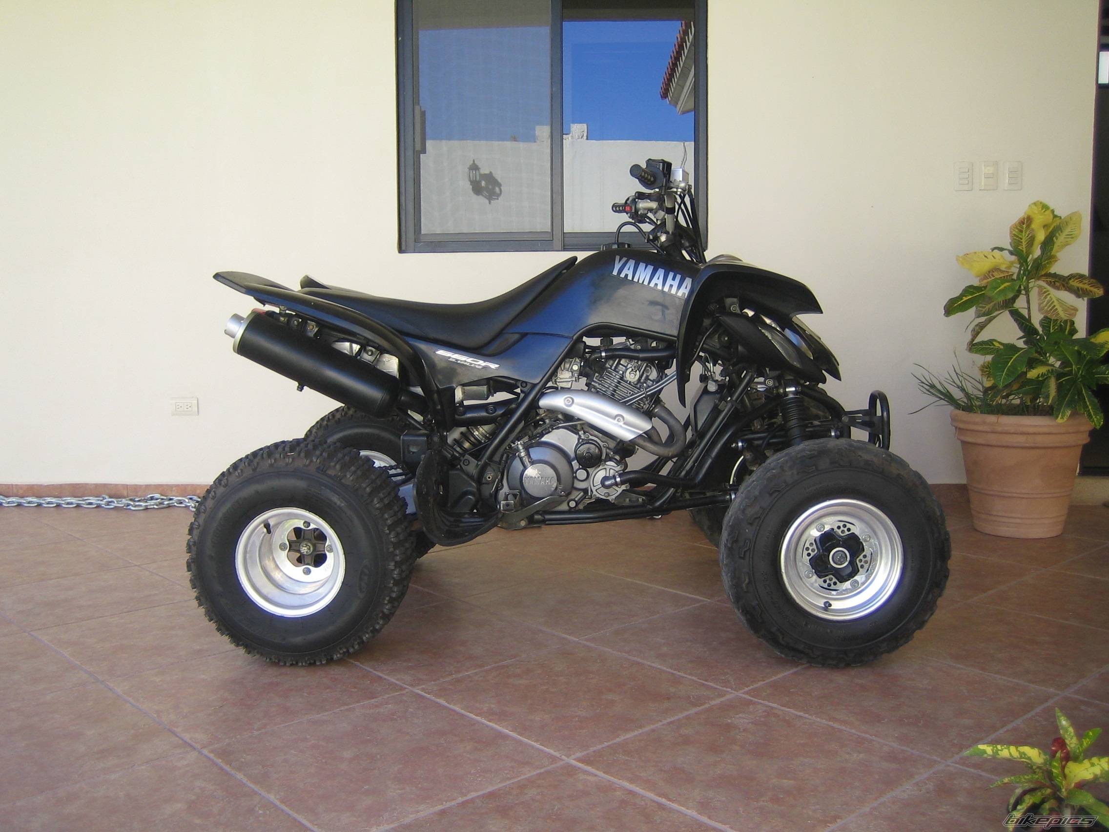 Photo 495387
