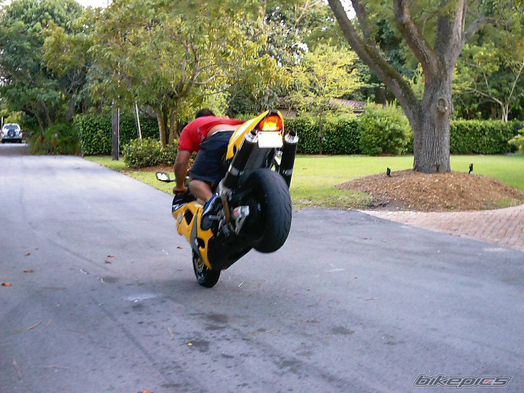 Bike Photo 49545