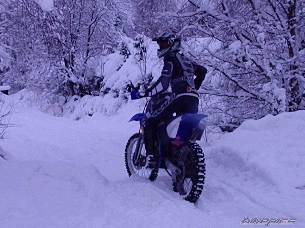 Bike Photo 495619