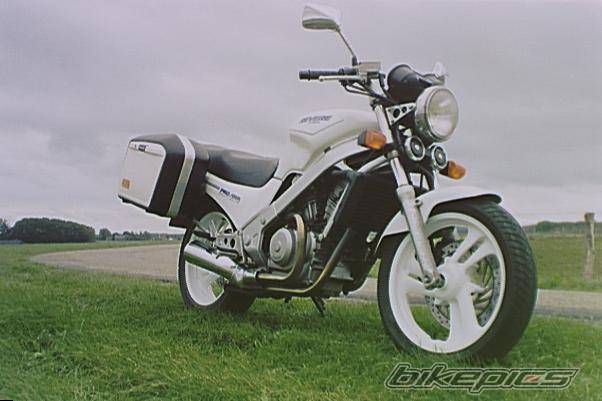 Photo 495697