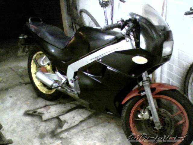 Photo 495705