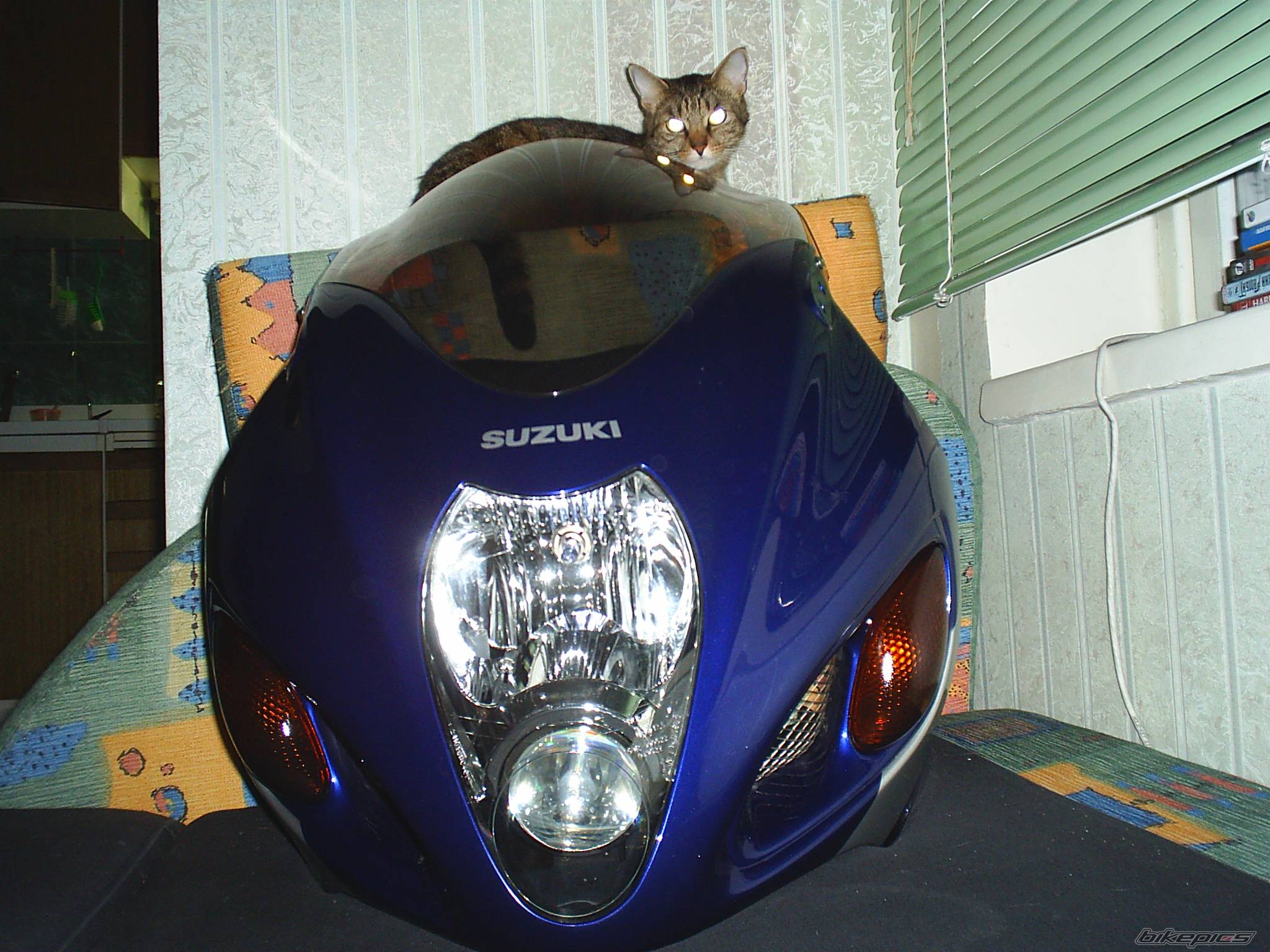 Bike Photo 495725
