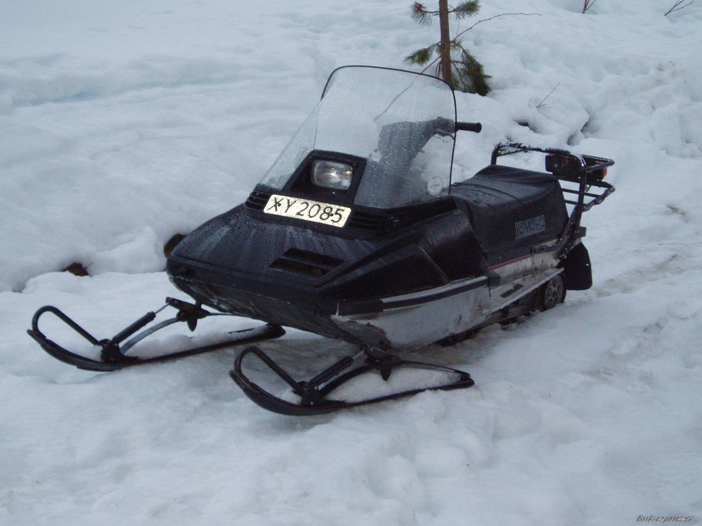 Photo 495740