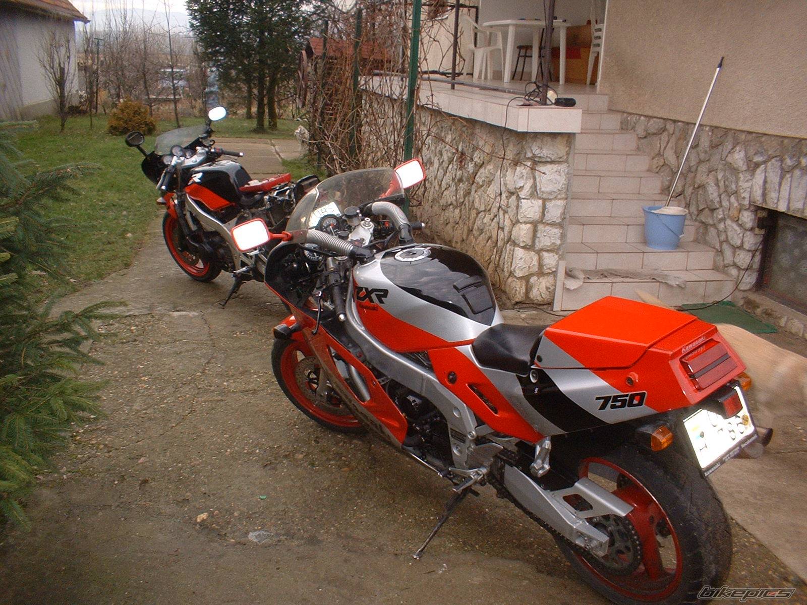 Photo 495748