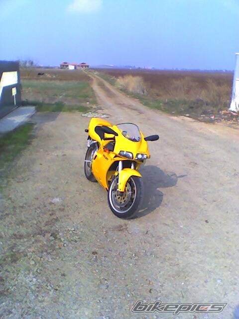 Photo 495788