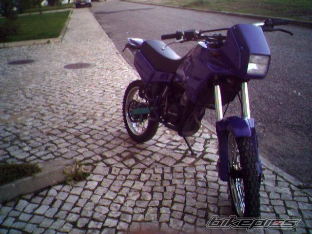 Photo 495805